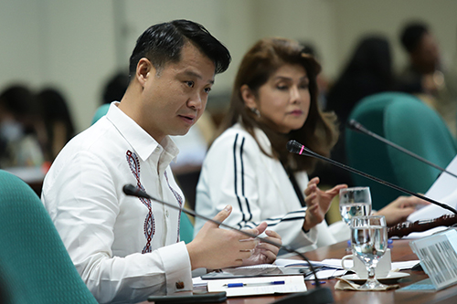 Senate takes up bill converting NEDA into a department