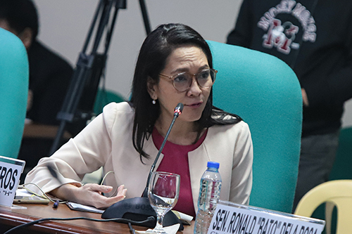 Risa seeks realignment of DepEd intel funds for IP education