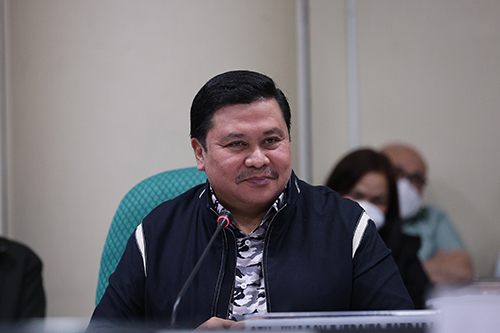 Jinggoy leads hearing on AFP professionalism